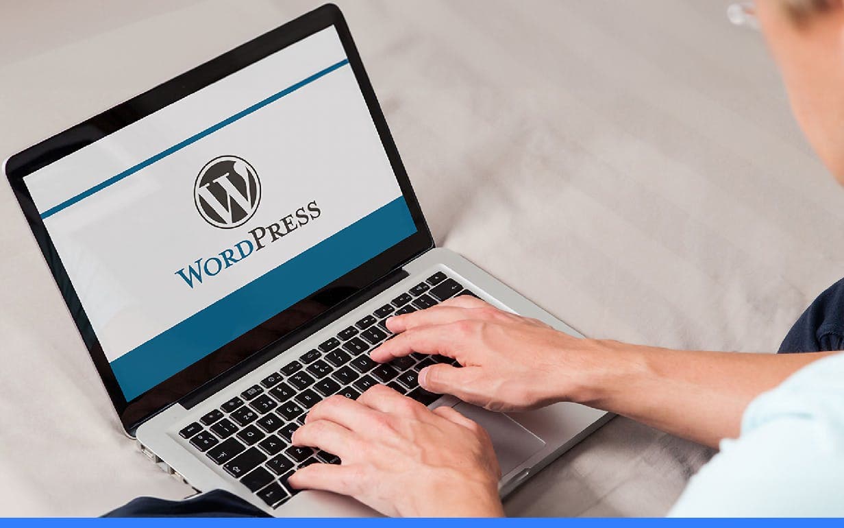 WordPress Development Services
